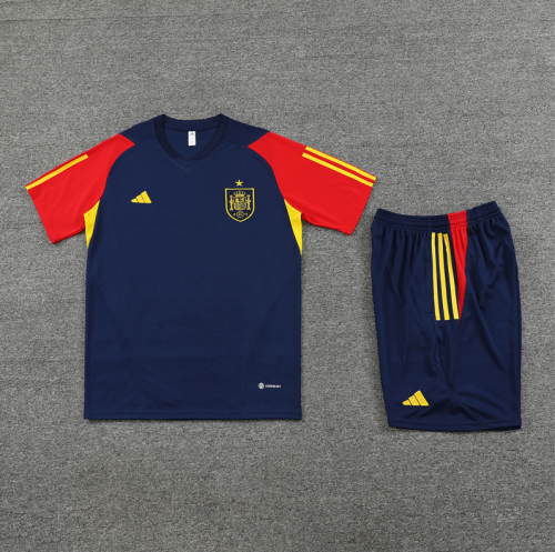 Adult Uniform 2023-2024 Spain Borland Soccer training Jersey Shorts