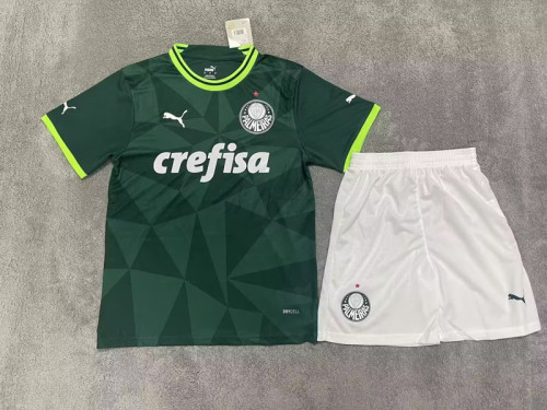 Adult Uniform 2023-2024 Palmeiras Home Soccer Jersey Shorts