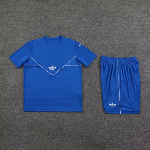 AD DIY Custom Blank Uniforms 2023-2024 Blue Jersey T-shirt Shorts