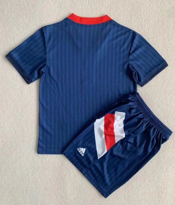 Adult Uniform 2023-2024 Ajax Icon Royal Blue Soccer Jersey Shorts