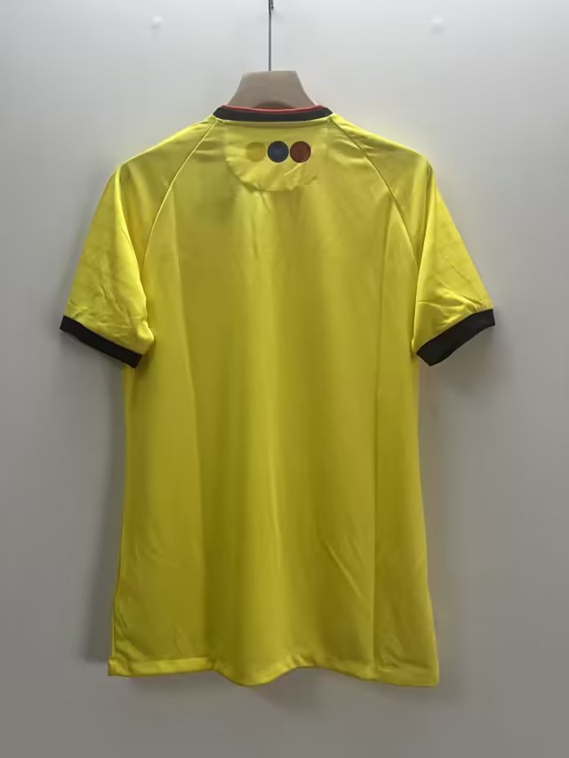 Fans Version 2023-2024 Ecuador Home Soccer Jersey