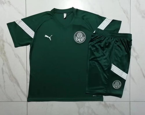 Adult Uniform 2023-2024 Palmeiras Green Soccer Training Jersey and Shorts