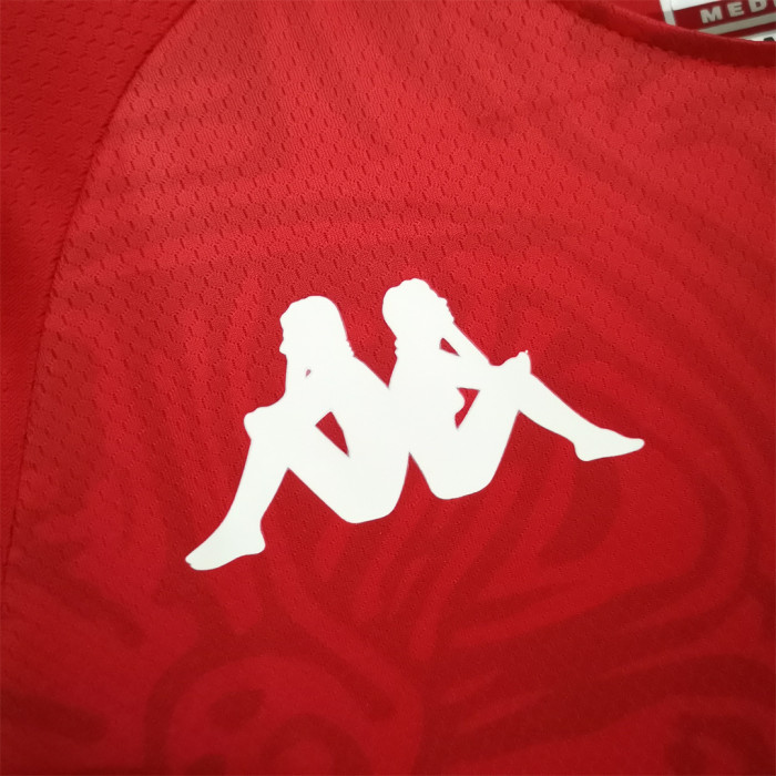 Fans Version 2022 World Cup Tunisia Home Soccer Jersey
