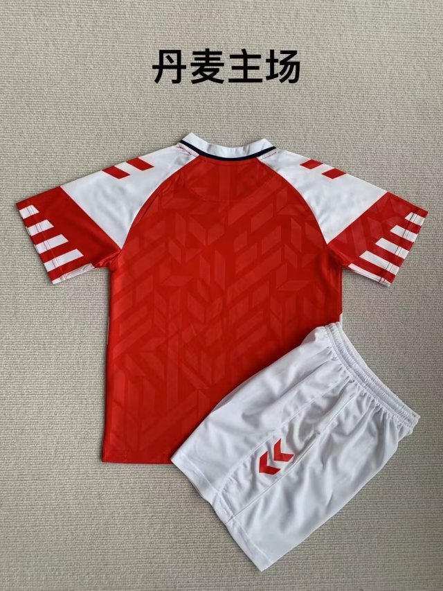 Adult Uniform 2023-2024 Denmark Home Soccer Jersey Shorts
