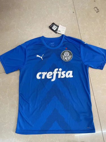 Fans Version 2022-2023 Palmeiras Blue Goalkeeper Soccer Jersey