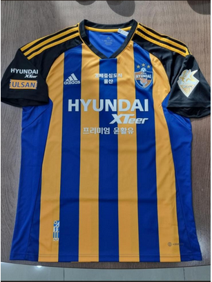 with Front Lettering+Sleeve Patches Fans Version 2023-2024 Ulsan Hyundai Home Soccer Jersey