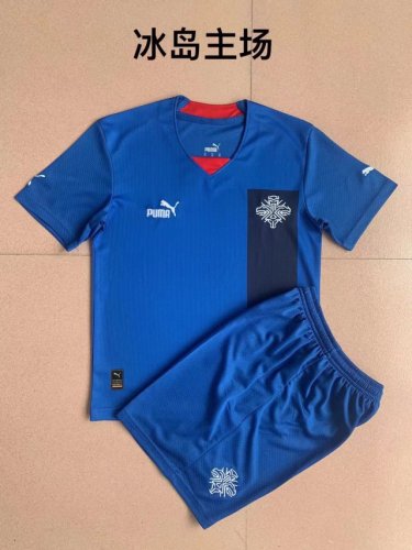 Adult Uniform 2022 World Cup Iceland Home Soccer Jersey Shorts