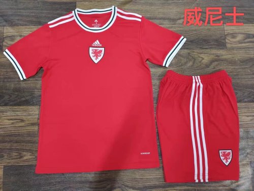 Adult Uniform 2022 World Cup Wales Home Soccer Jersey Shorts