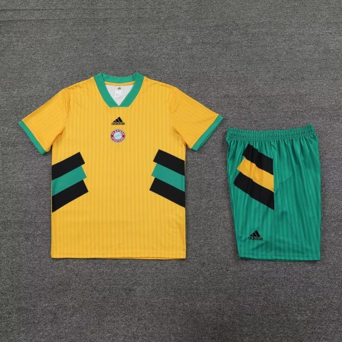 Adult Uniform 2023-2024 Bayern Munich Yellow Icons Soccer Jersey Shorts