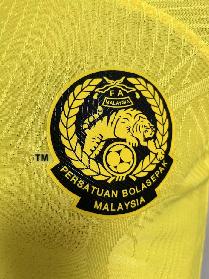Player Version 2023-2024 Malaysia Home Soccer Jersey