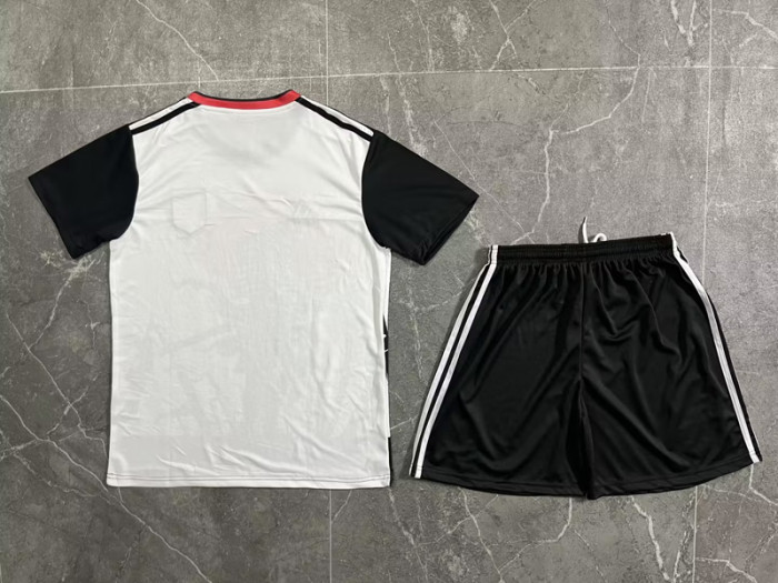 Adult Uniform 2023-2024 Japan Special Soccer Jersey Shorts