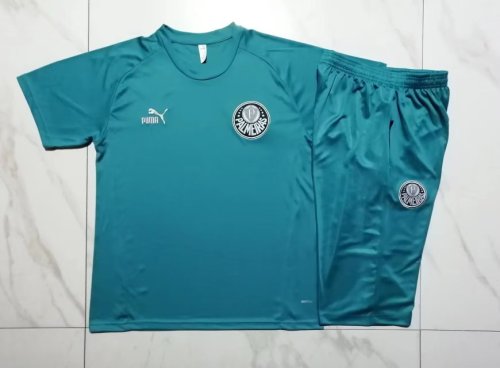Adult Uniform 2023-2024 Palmeiras Green Soccer Training Jersey Shorts