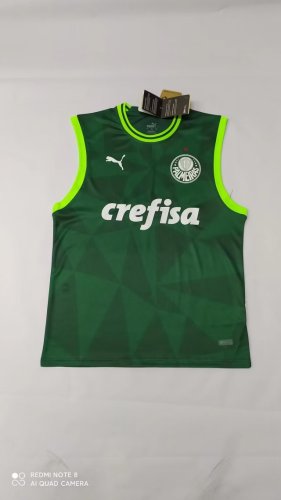 2023-2024 Palmeiras Green Soccer Training Vest