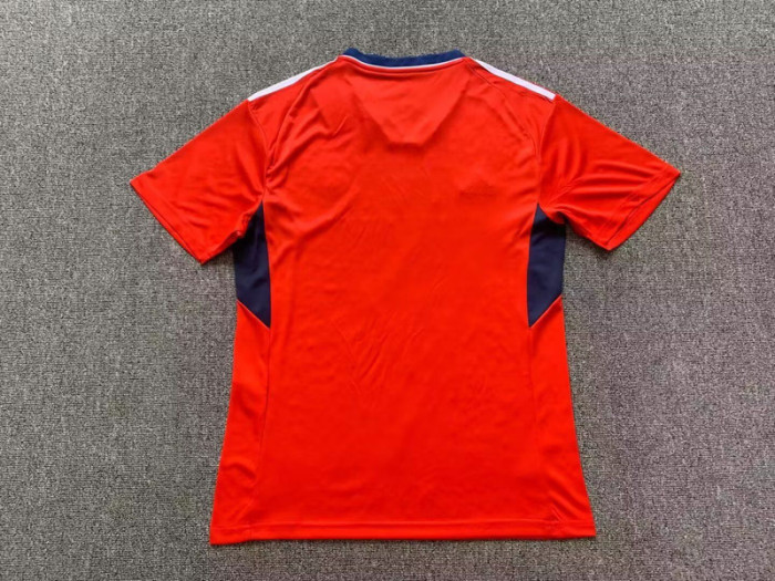 Fans Version 2023-2024 Costa Rica Home Soccer Jersey