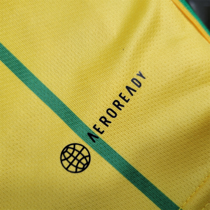 Fans Version 2023 Jamaica Home Soccer Jersey