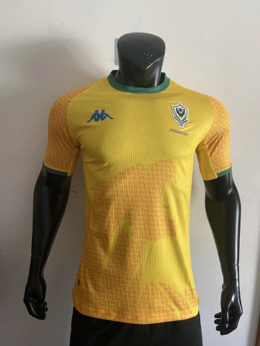 Player Version 2022 Gabon Home Soccer Jersey