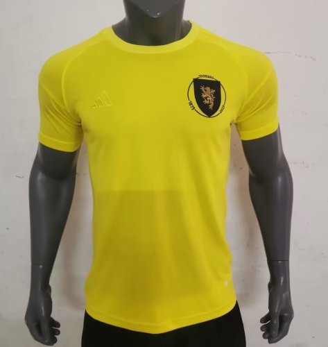Player Version 2023-2024 Scotland Yellow Goalkeeper Soccer Jersey