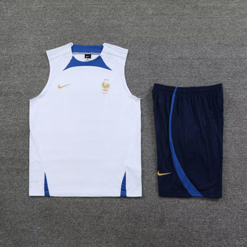 Adult Uniform 2023-2024 France White Soccer Training Vest and Shorts