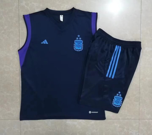 Adult Uniform 2023-2024 Argentina Royal Blue Soccer Training Vest and Shorts