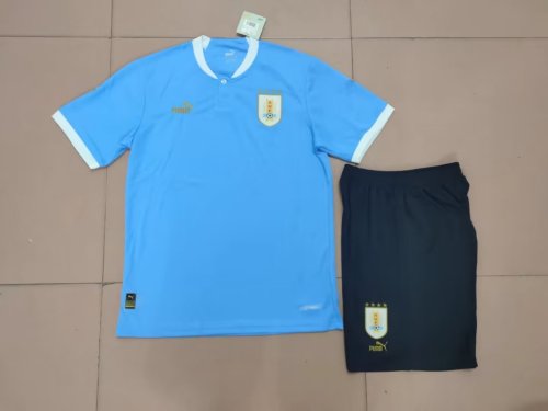 Adult Uniform 2022 World Cup Uruguay Home Soccer Jersey Shorts