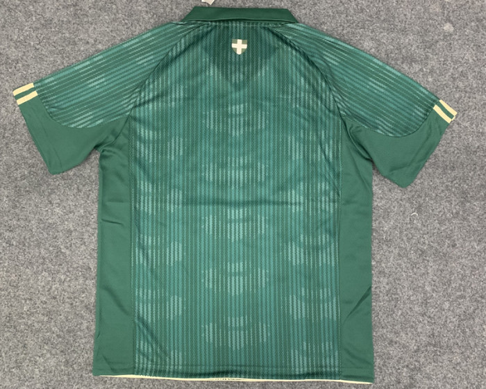 Fans Version 2023-2024 Palmeiras Special Green Soccer Jersey