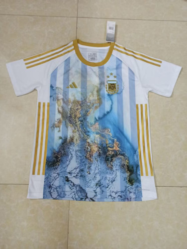 Fans Version 2023-2024 Argentina Soccer Jersey