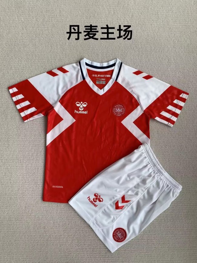 Youth Uniform Kids Kit 2023-2024 Denmark Home Soccer Jersey Shorts