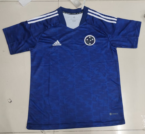 Fans Version 2023-2024 Cruzeiro Special Blue Soccer Jersey Shorts