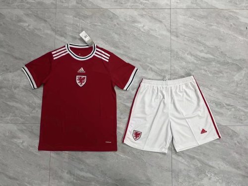Adult Uniform 2022-2023 Wales Home Soccer Jersey Shorts