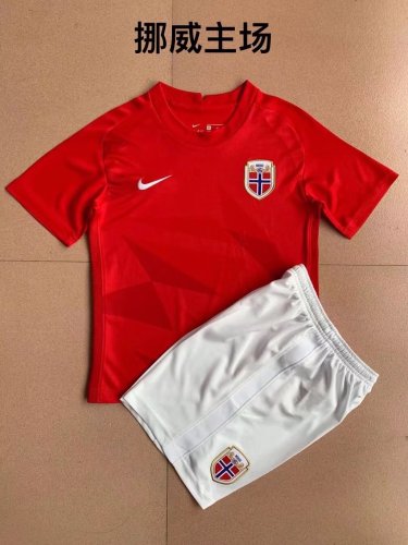Adult Uniform 2022 World Cup Norway Home Soccer Jersey Shorts