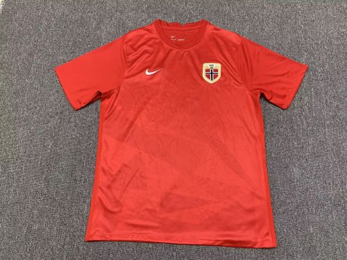 Fans Version 2022 World Cup Norway Home Soccer Jersey