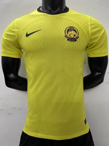 Player Version 2022 World Cup Malaysia Home Soccer Jersey