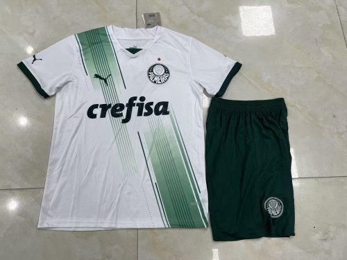 Adult Uniform 2023-2024 Palmeiras Away White Soccer Jersey Shorts