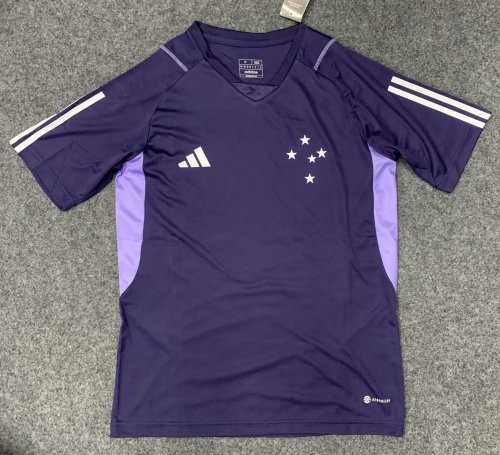 Fans Version 2023-2024 Cruzeiro Purple Soccer Training Jersey