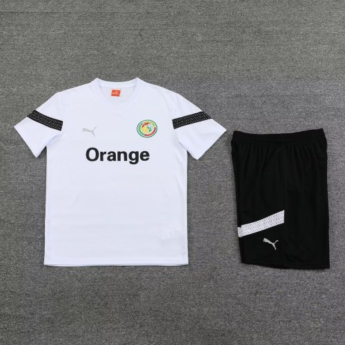 Adult Uniform 2023-2024 Senegal White Soccer Training Jersey Shorts