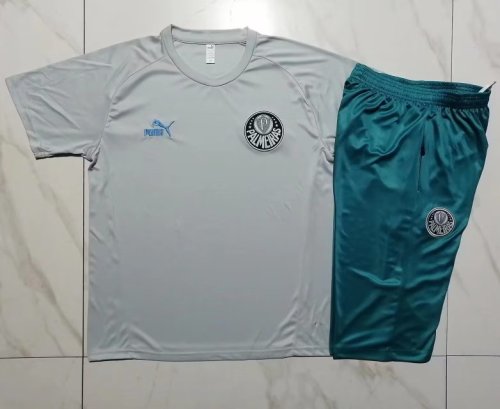 Adult Uniform 2023-2024 Palmeiras Grey Soccer Training Jersey Shorts