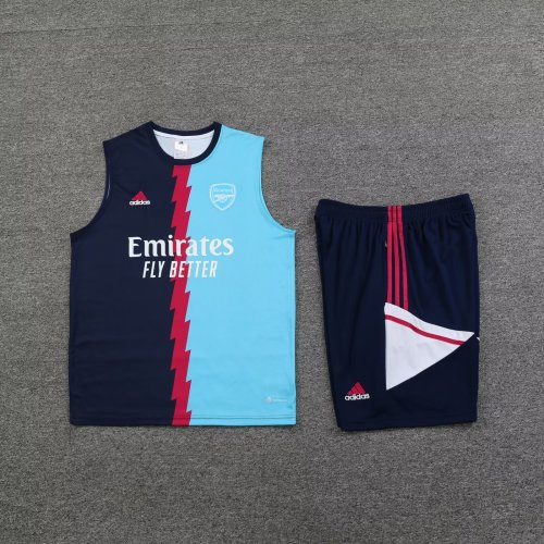 Adult Uniform 2023-2024 Arsenal Soccer Training Vest and Shorts