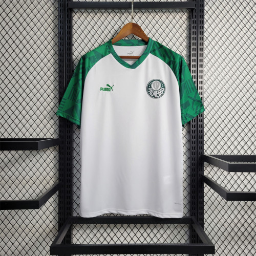 Fans Version 2023-2024 Palmeiras Special Green/White Soccer Jersey