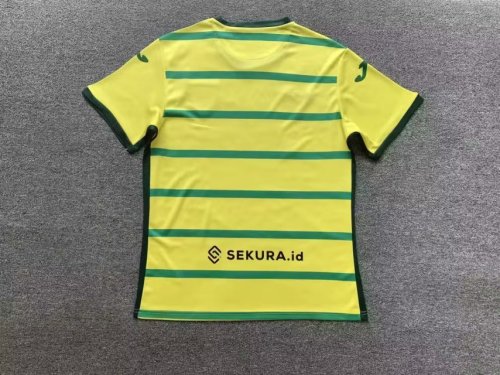 Fans Version 2023-2024 Norwich City Home Soccer Jersey Football Shirt