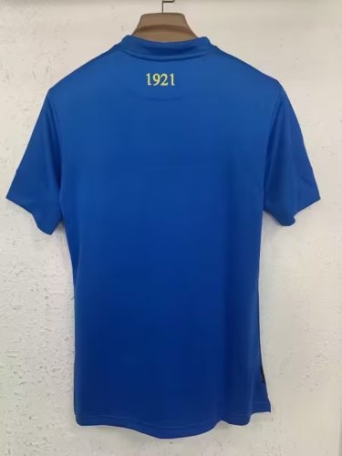 Fans Version 2023-2024 Ireland Souvenir Blue Soccer Jersey