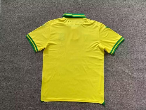 Fans Version 2023-2024 Nantes Home Soccer Jersey