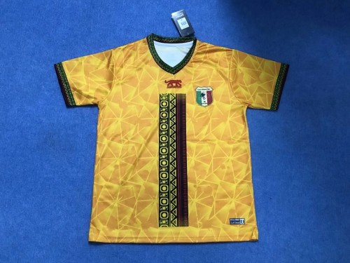 Fan Version 2023-2024 Mali Away Yellow Soccer Jersey Football Shirt