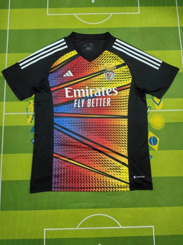 Fan Version 2023-2024 Benfica Colorful Soccer Training Jersey Football Pre-match Top