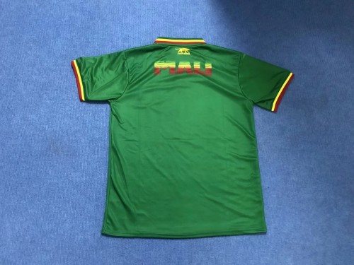 Fan Version 2023-2024 Mali Special Edition Green Home Soccer Jersey Football Shirt