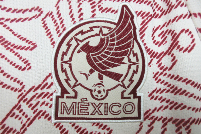 Fans Version 2022 World Cup Mexico Away Soccer Jersey