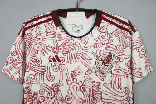 Fans Version 2022 World Cup Mexico Away Soccer Jersey