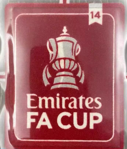 Emirates FA Cup Winners 14 Badge for Arsenal Jersey