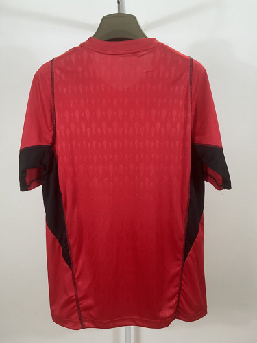 Fan Version 2023-2024 Atletico mineiro Red Soccer Training Jersey Football Shirt