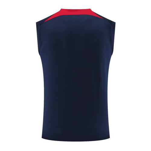Fan Version 2023-2024 RB Leipzig Dark Blue/Red Soccer Training Vest Prematch Top