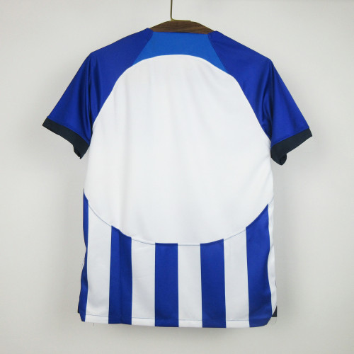 Fan Version 2023-2024 Brighton & Hove Albion Home Soccer Jersey Football Shirt